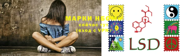 амф Пестово