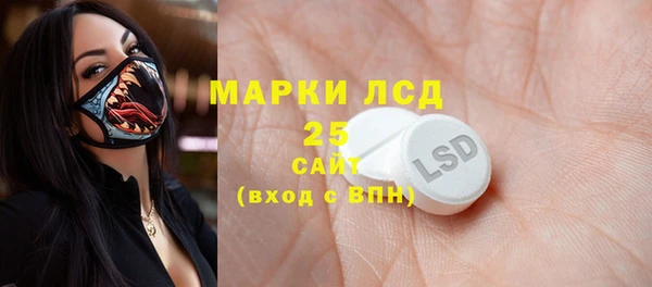 амф Пестово