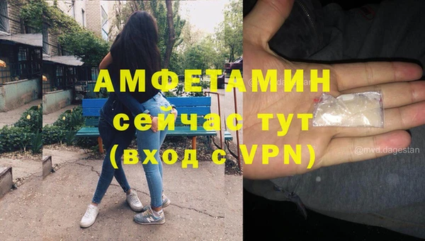 амф Пестово
