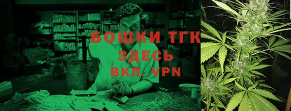 амф Пестово
