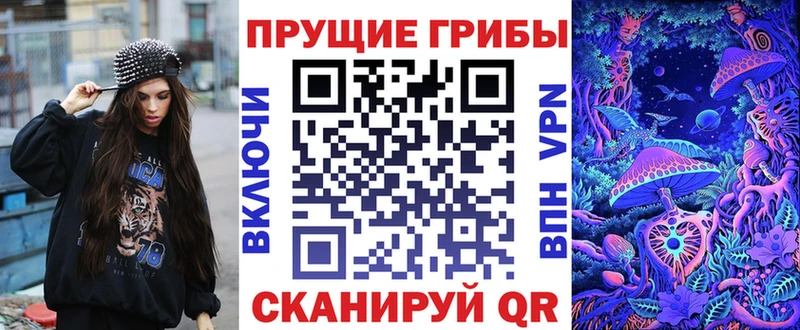 Галлюциногенные грибы Cubensis  omg как зайти  Семикаракорск 