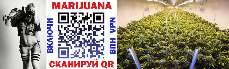 купить наркотики цена  mega маркетплейс  Канабис конопля  Семикаракорск 